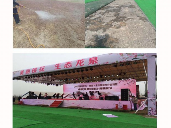 四川.成都——龍泉驛某觀(guān)光場(chǎng)地草坪固化